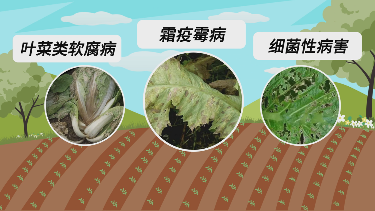 图片 8.png 图片 8.png